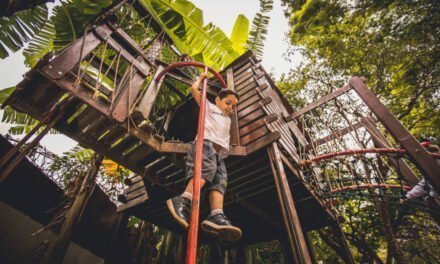 Studies counter against overprotective parents and suggest ‘dangerous’ playgrounds for children made of wooden toys, tires, stones, logs and sand are the most recommended for children’s development