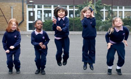 Leaps towards learning